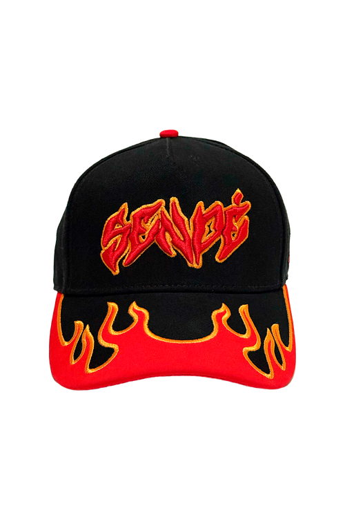 EMBROIDERED SENDÉ TOUR CAP – Ryan Castrro